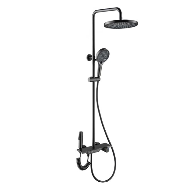 Four Function Surface Mounted Shower