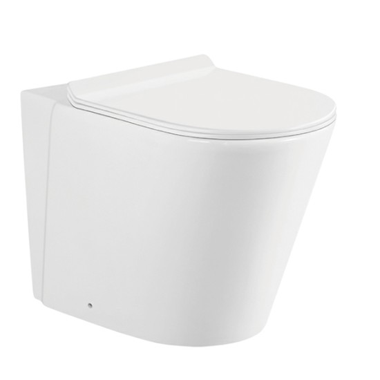 Hedge Intelligent Toilet